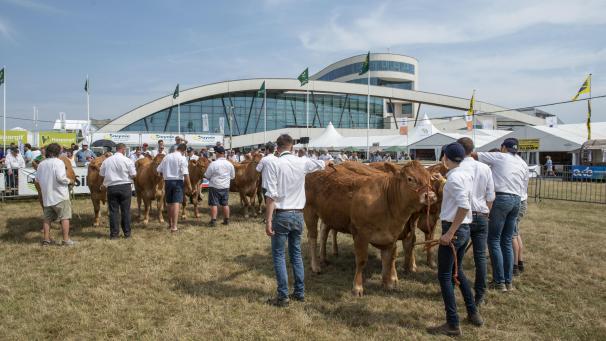 <p>Schon kurz nachdem die Landwirtschaftsmesse von Libramont am Freitagmorgen eröffnet war, herrschte schon reger Betrieb.</p>