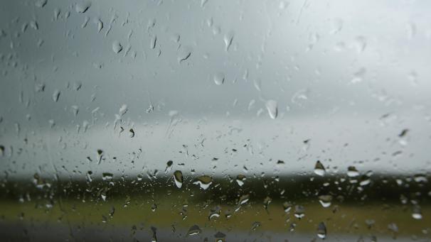 <p>121304252</p>