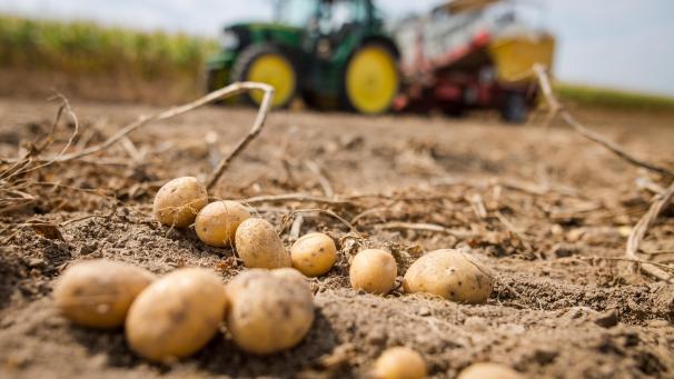 <p>122204944</p>