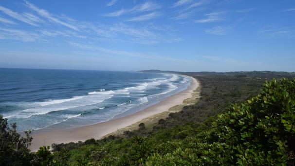 <p>Nadel im Heuhaufen: Das dichtbewaldete Gebiet am Strand Tallow Beach</p>