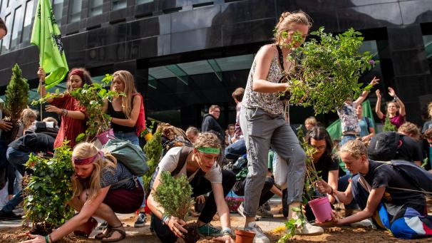 <p>Fridays for Future-Demonstranten stellen vor der Zentrale von Innogy SE, einer Tochtergesellschaft des Energieversorgers RWE, Pflanzen auf. Mit einer Demonstration haben die Teilnehmer des Fridays for Future-Sommerkongresses in Dortmund ihren Protest am Freitag in die Innenstadt getragen.</p>
