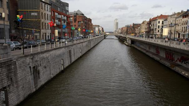 <p>Im Brüsseler Kanal gibt es - in geringen Mengen - potenziell giftige Blaualgen.</p>