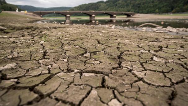 <p>Monatelange Trockenheit wird auch zunehmend in Westeuropa (hier ein Bild aus Deutschland) ein Problem.</p>