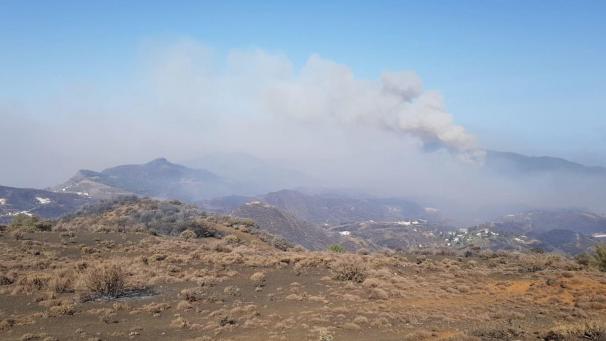 <p>Der Waldbrand in den Bergen von Gran Canaria hat sich dem Präsidenten der Kanarischen Inseln zufolge leicht beruhigt.</p>