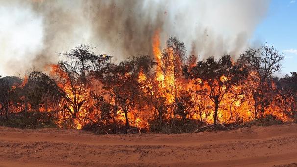 <p>Seit Wochen wüten unzählige Waldbrände im Amazonasgebiet und den angrenzenden Steppengebieten.</p>