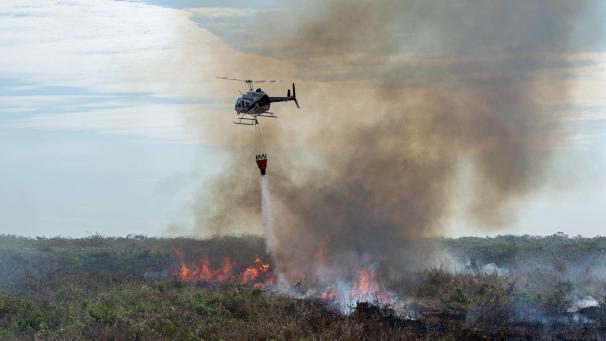 <p>In Brasilien wüten derzeit die schwersten Brände seit Jahren.</p>