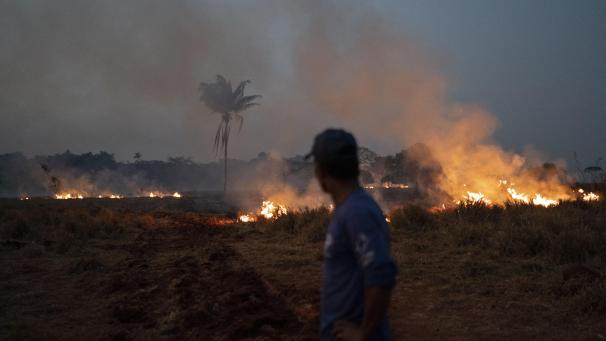 <p>In Brasilien wüten derzeit die schwersten Waldbrände seit Jahren.</p>
