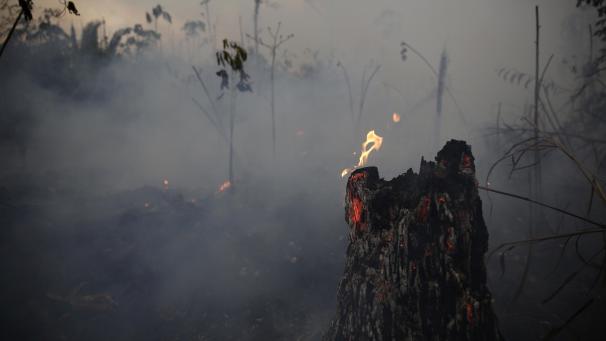 <p>Angesichts der verheerenden Waldbrände im Amazonasgebiet setzt die brasilianische Regierung nun Soldaten bei den Löscharbeiten und der Verfolgung von Brandstiftern ein.</p>
