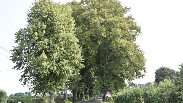 <p>Hochstraße in Eupen</p>