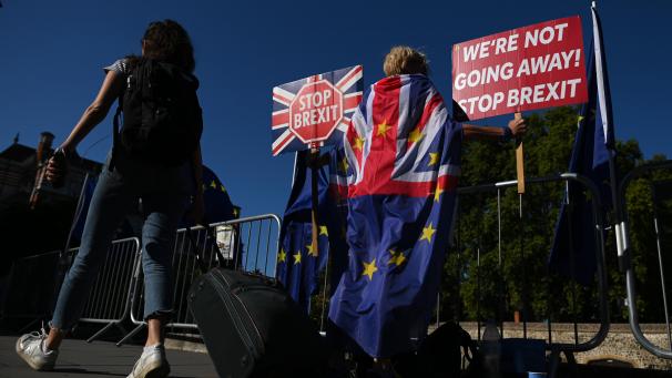 <p>Anti-Brexit-Demonstranten vor dem Parlament in London.</p>
