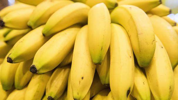 <p>Zukünftig könnte es weniger Bananen geben.</p>