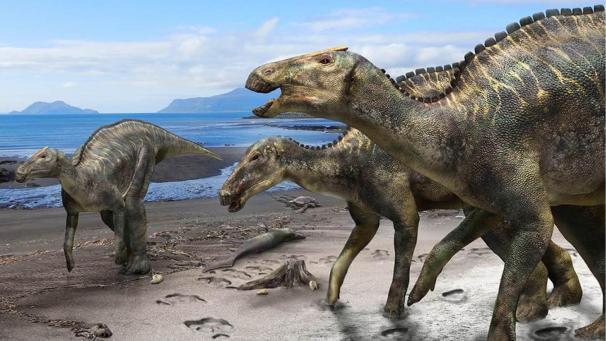 <p>Künstlerische Darstellung von «Mukawaryu», ein Dinosaurier der Art Kamuysaurus japonicus.</p>
