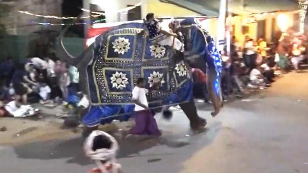 <p>Der Elefant läuft durch die Menschenmenge.</p>
