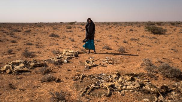 <p>Schon Anfang 2017 waren rund 6,2 Millionen Menschen in Somalia in Folge einer schweren Dürre auf humanitäre Hilfe angewiesen.</p>