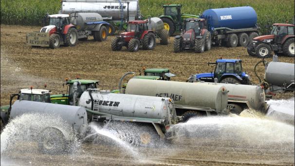 <p>Bilder wie dieses gingen vor zehn Jahren um die Welt: Auf einem Acker bei Ciney versickerten über drei Millionen Liter Milch.</p>
