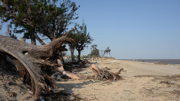 <p>Am Strand von Beira liegen noch immer Bäume, die von Zyklon „Idai entwurzelt wurden. Genau über der Stadt mit rund 500.000 Einwohnern traf der tropische Wirbelsturm in der Nacht zum 15. März auf Land. Die Schäden haben in Mosambik eine Langzeitwirkung. Viele Menschen haben auch ihre Ernte verloren - eine Nahrungsmittelkrise droht.</p>