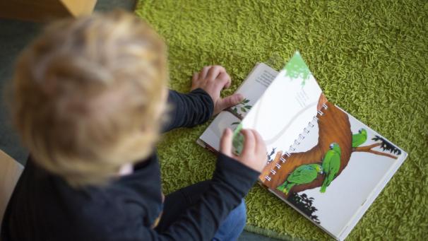 <p>Der Vorschlag der MR zielt darauf ab, die Steuerreduzierung für die anerkannte Betreuung der Kinder, die zwischen 0 und 3 Jahre alt sind, zu erhöhen.</p>
