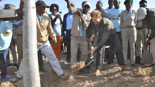 <p>Der Herzog von Sussex hilft Schülern, Bäume im Chobe Tree Reservat in Botswana zu pflanzen.</p>