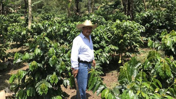 <p>Der Kaffeebauer Jose de Leon steht auf einer Plantage im guatemaltekischen Department San Marcos. Wegen des niedrigen Weltmarktpreises sehen die Erzeuger ihre Existenz gefährdet. Viele versuchen, in die USA auszuwandern.</p>