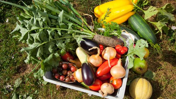 <p>Länger Leben bei bester Gesundheit ist möglich. Dafür sollte man auf eine gesunde, ausgewogene Ernährung achten. Empfohlen wird der Verzehr von täglich mindestens 300 Gramm Gemüse.</p>