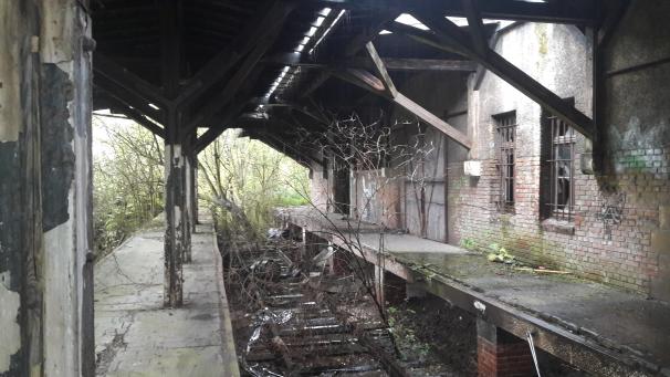 <p>Die Holzkonstruktion des ehemaligen Güterbahnhofs ist arg in Mitleidenschaft gezogen.</p>