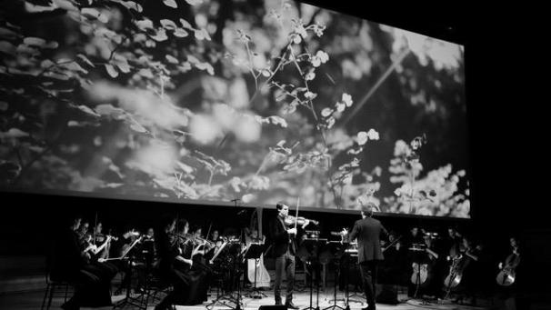 <p>Young Belgian Strings besteht aus Studierenden verschiedener belgischer Konservatorien.</p>