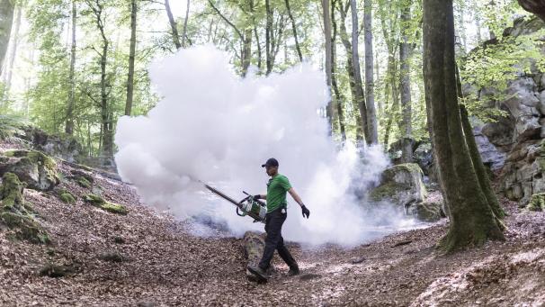 <p>Auch für Nebel muss er sorgen: Stefan Henkes arbeitete in der Webserie „True Demon“ als Setrequisiteur. Gedreht wurde beispielsweise im Müllerthal in Luxemburg.</p>