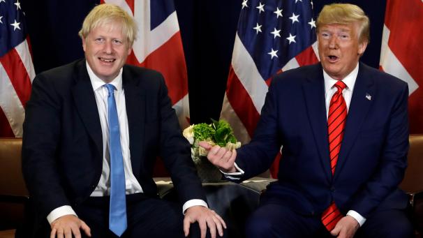 <p>Boris Johnson (l.), Premierminister von Großbritannien, und US-Präsident Donald Trump mischen die Politik auf und teilen nicht nur den Hang zu Provokationen.</p>
