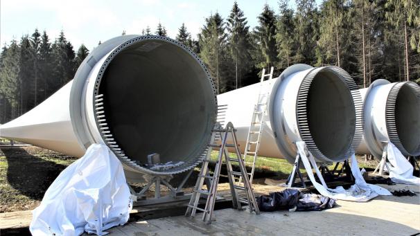 <p>Die gleichen Arbeiten, das gleiche Bild, wie im Vorjahr, wird es jetzt auch bei den beiden restlichen Giganten im Münsterwald geben.</p>