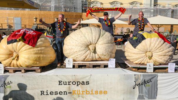 <p>Gleich drei Belgier sind bei der Europameisterschaft im Kürbiswiegen auf dem Siegertreppchen gelandet.</p>