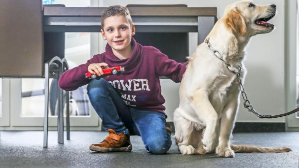 <p>Assistenztiere können unverzichtbar sein.</p>