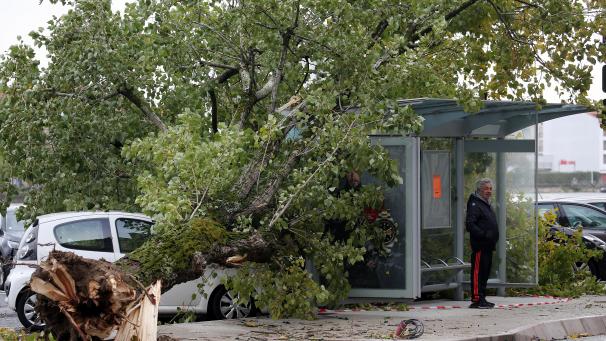 <p>Mit heftigem Wind und starkem Regen hat der Herbststurm „Amélie“ seine Spuren hinterlassen.</p>