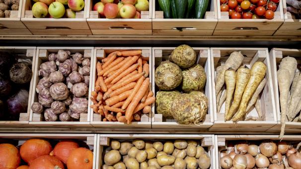 <p>Eine umfangreiche Ernährung ist wichtig.</p>
