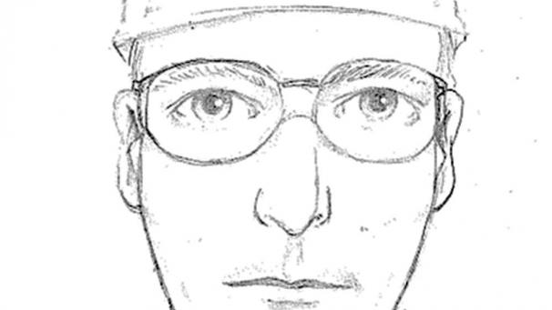 <p>Diese Phantomzeichnung wurde jetzt veröffentlicht. Es könnte sich um den Saboteur handeln.</p>
