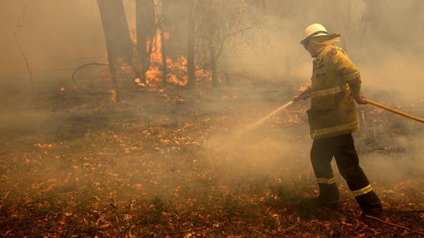 <p>Ein Feuerwehrmann löscht einen Brand in einem Nationalpark. In Australien brennen gerade viele Büsche und Bäume.</p>