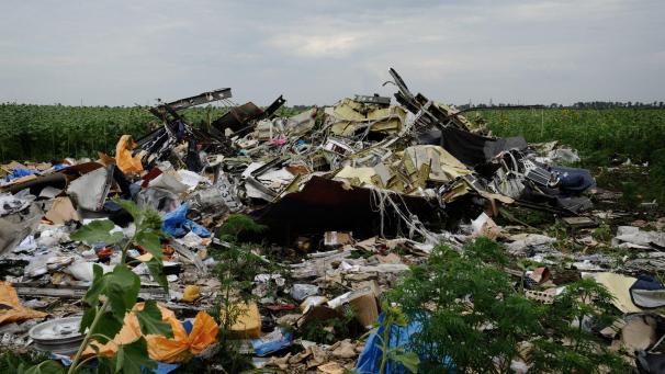 <p>300 Menschen starben, als eine malaysische Passagiermaschine über der Ukraine abgeschossen wurde.</p>
