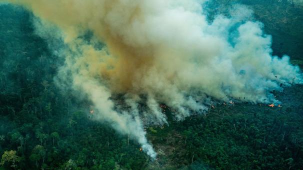 <p>Immer mehr Wadgebiete im Amazonas werden zerstört oder abgebrannt.</p>