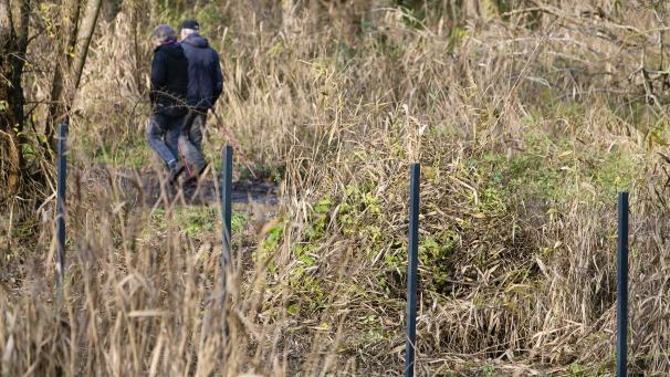 <p>Spaziergänger gehen einen Waldweg entlang, neben dem Zaunpfähle im Boden eingelassen sind. In wenigen Tagen dürfte der umstrittene Wildschweinzaun an der deutsch-dänischen Grenze fertiggestellt worden sein. Die Dänen bauen den Zaun von der Nord- bis zur Ostsee, er soll ein 70 Kilometer langes und 1,50 Meter hohes Bollwerk zum Schutz der heimischen Schweinezucht vor der Afrikanischen Schweinepest (ASP) werden.</p>