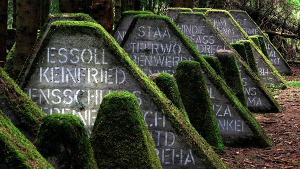 <p>Wie ein surreales Kunstwerk schlängelt sich die Höckerlinie des Westwalls durch die Eifel. An 21 Stationen ist Peter Stollenwerk den Höckern auf die Spur gegangen.</p>
