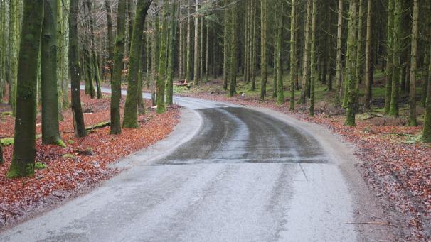 <p>Seit die besonders schadhaften Stellen des Weges zwischen Espeler und Schmiede ausgebessert wurden, hat der Verkehr auf der sogenannten Benzinstraße wieder stark zugenommen.</p>