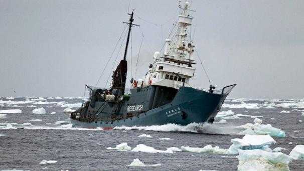 <p>Das japanische Walfangschiff Shonan Maru No.2 fährt am 17.12.2009 durch das Südpolarmeer.</p>