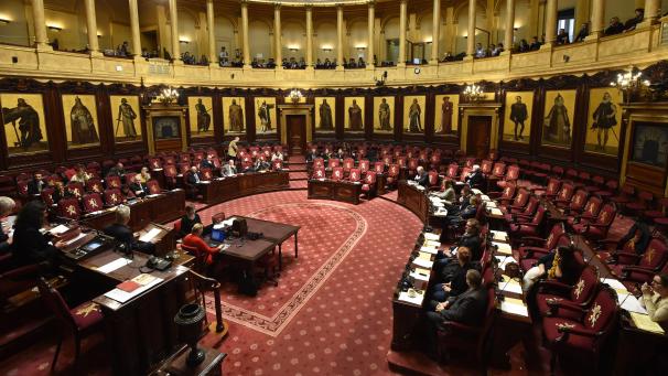 <p>Blick in den Plenarsaal des Senates in Brüssel: Das Hohe Haus ist bislang die einzige Einrichtung auf föderaler Ebene, in der die DG eine garantierte Vertretung hat.</p>