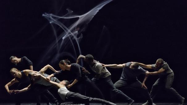 <p>20. smf20_Crystal Pite - Kidd Pivot_Revisor_©Michael Slobodian</p>