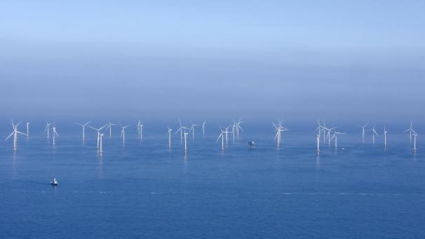 <p>Die Windparks in der belgischen Nordsee haben positive und negative Auswirkungen auf das dortige Ökosystem.</p>