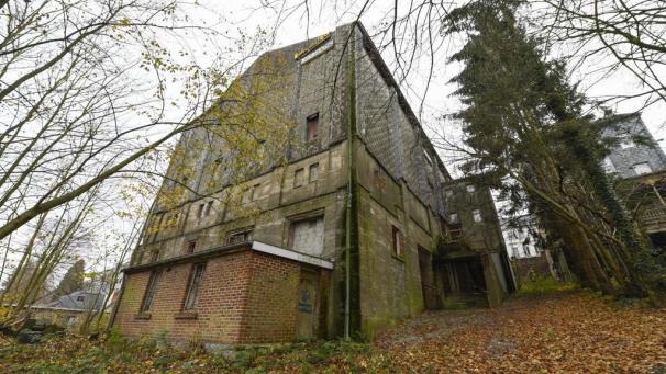<p>Die Rückseite des Capitols, vom Josephine-Koch-Park aus betrachtet. Der anvisierte Verkauf des städtischen Gebäudes, dessen Bausubstanz sich seit Jahren verschlechtert, ist gescheitert.</p>