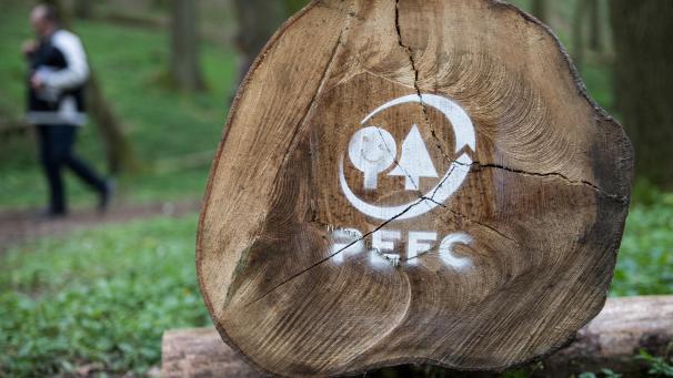 <p>Die PEFC-Zertifizierung des Gemeindewaldes in Büllingen ist in Gefahr, wenn der Aktionsplan nicht ordnungsgemäß umgesetzt wird.</p>