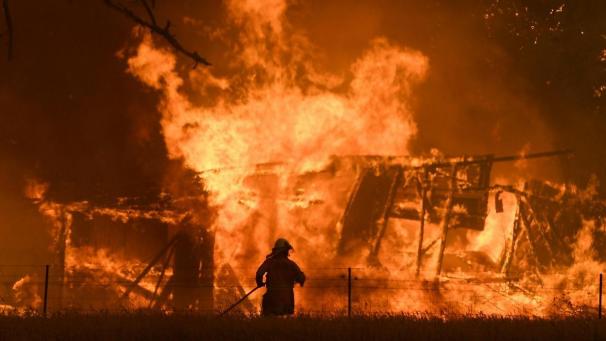 <p>Mindestens drei Millionen Hektar Buschgelände, das ist so viel wie die gesamte Fläche Belgiens, wurden seit September in Australien durch Feuer zerstört.</p>