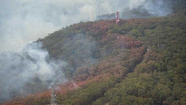 <p>Rauchwolken steigen aus den Wäldern der Blue Mountains seitlich einer Feuerschneise auf.</p>