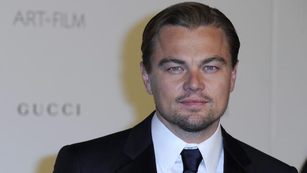 <p>Leonardo DiCaprio setzt sich schon seit längerem für den Schutz des Regenwalds im Amazonasgebiets ein.</p>