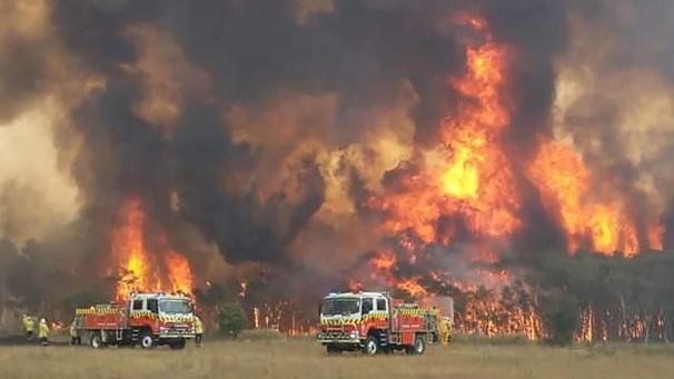 <p>Dieses von der Feuerwehrbehörde des Bundesstaats New South Wales auf Twitter geteilte Foto zeigt Feuerwehrleute bei dem Versuch, Wohnhäuser um Charmhaven vor den Bränden zu schützen. Die Buschbrände im Südosten Australiens geraten immer mehr außer Kontrolle.</p>